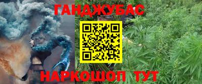 ПСИЛОЦИБИНОВЫЕ ГРИБЫ Тара