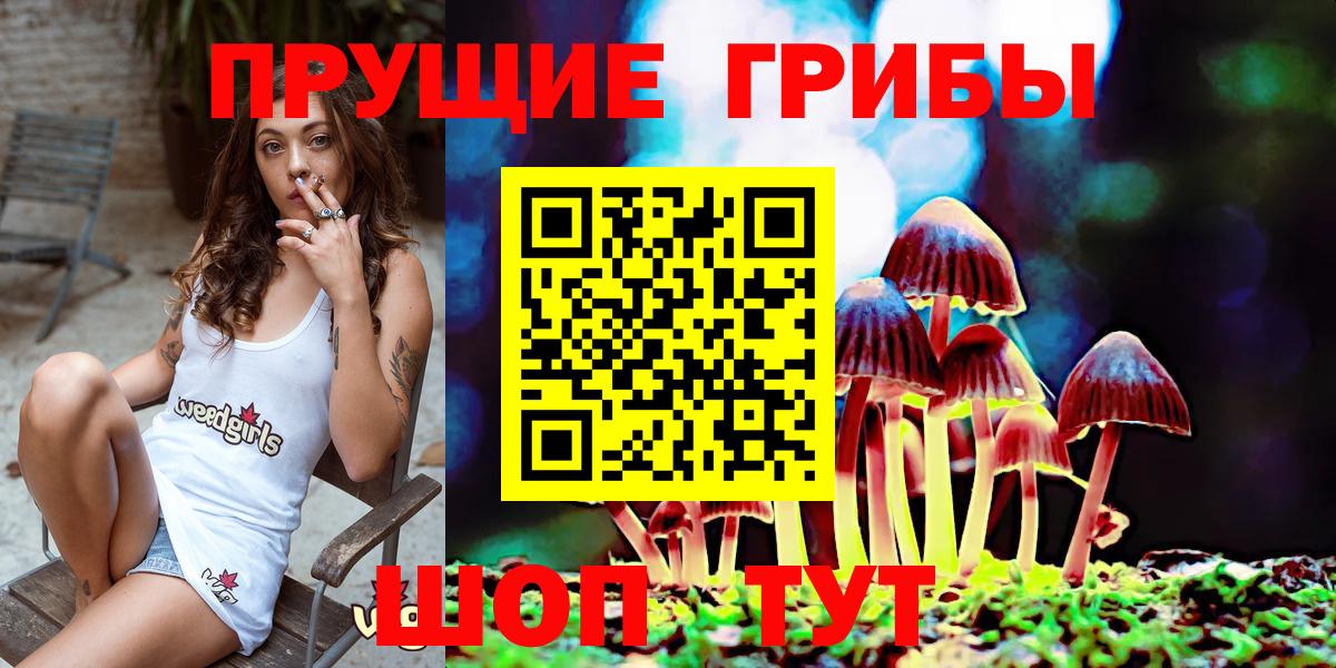 Псилоцибиновые грибы ЛСД Можайск